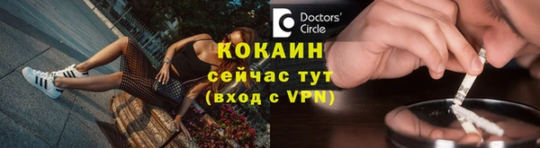 шишки Киренск