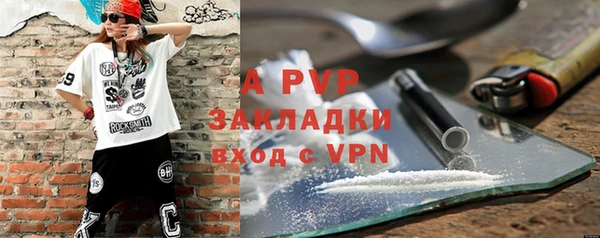 шишки Киренск