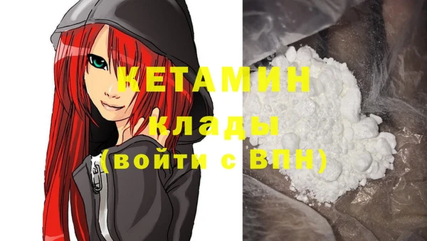 шишки Киренск