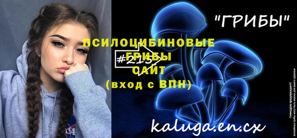 шишки Киренск