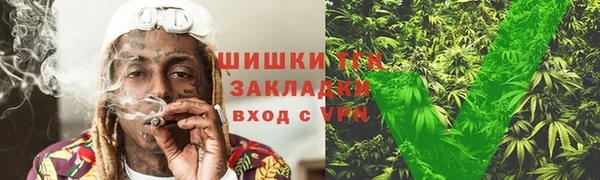 шишки Киренск