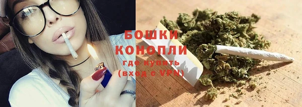 шишки Киренск