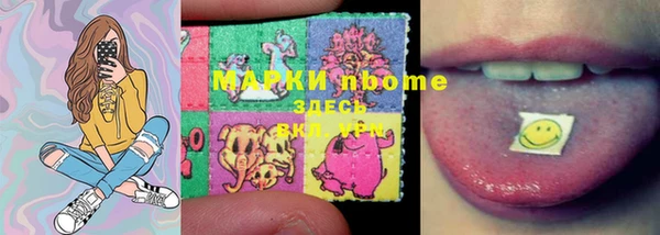 шишки Киренск