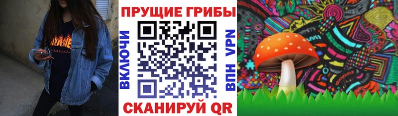 Псилоцибиновые грибы прущие грибы  Купить закладки  Каргат 